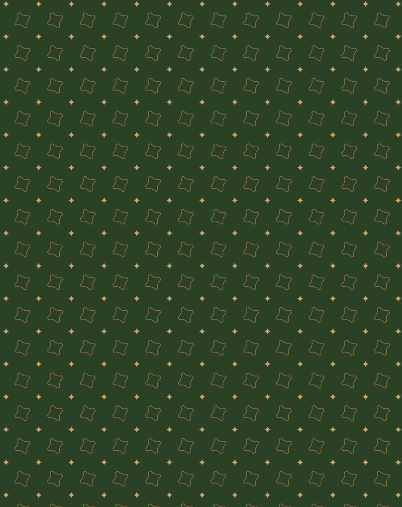 PUFS Branding Brand Pattern Colors